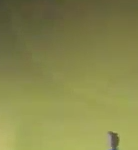 [EXO] 골디 <b>MC</b>: 뒤에 싸인 부탁드립니다.