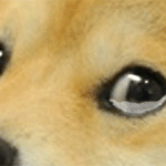 [EXO] 두뎀피<b>쏘우</b>!두뎀피<b>쏘우</b>!듀뎀피<b>쏘우</b>!!!!!!!!