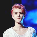 [세훈] 훈녀들 이 날짜 좀 찾아줘~