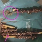 [추억파리여] <b>롯데</b> 빼빼로에 살아있는 구더기 가득해요