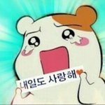 [EXO] 난 나비<b>소녀</b>입덕