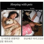[<b>충동</b>맘] 강아지랑 잘때