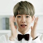[EXO] 솔직히 변백현 보는 엑소엘 마음