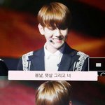 [exo] 또 골든디스크 레전드 찍은 백현