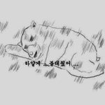 [EXO] 너네 머리 최대로 안감아본게 몇<b>일임</b>