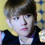 [EXO] <b>하루사이</b>에 헤디 백현 안티됨?