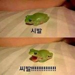 [EXO] <b>여주</b>를 중간에 두고 으르렁거리는