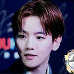 [EXO] 오세훈 변백현 헤디랑 싸웠니