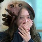 [EXO] 세훈이 머리 나만 좋아??;;;