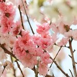 올해 중3됬는데 예고 안 늦음?