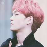 [EXO] 김종대 머리합성한건데 개이쁨
