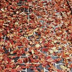 [EXO] 나도<b>인생사진</b>
