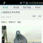 [EXO] 둘기즈 <b>이름</b> ㅈㄴ웃겨ㅋㅋㅋㅋㅋㅋ