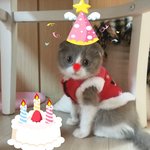 [스카프뭉치] 스카프뭉치 3탄 드디어 <b>산타</b>뭉치^ㅡ^
