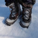 <b>뚱녀</b>는 봐라