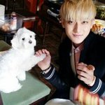 [EXO] 난 쇼탐보면서 어느새 타오랜선엄마가