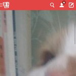 [EXO] 고양이년 좃중딩 인증