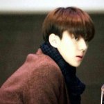 [EXO] 오세훈 괘지림