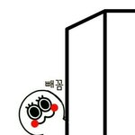 [EXO] 예전에 콘서트 갔는데 외국분들ㅋㅋㅋㅋ
