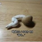 [EXO] 세훈<b>버섯</b>짤좀ㅋㅋㅋㅋㅋㅋㅋ