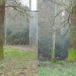 [EXO] 야 이거 <b>시베리아</b>호랑이 실제크기라는데