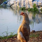 썩 좋은 세상이였다.