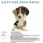 [EXO] 친구가 <b>비글</b>준다는말에 댓글 존웃