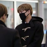 [EXO] <b>조니</b>니 떡볶이코트 박제 소취요