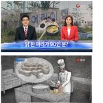 [추억파리여] 닭 한 <b>마리</b>가 낳은 기적