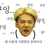 [EXO] 엑소노래는 이게 <b>묘미</b>지ㅋㅋㅋㅋㅋ
