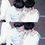 [EXO] 백현타오사이가뭐?