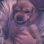 [EXO] 근데콘서트때 옷 짧치