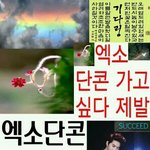 [EXO] 야 나 <b>낮잠</b>자다 깼는데 애들 무대하는 꿈꿨어