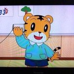 [웃기는사진] 귀 없이도 잘사는 친구들