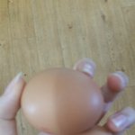 [EXO] 야원래달걀크기가 <b>요만</b>해??