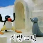 [EXO] 뉴비들이나 투표에 목메지ㅋㅅㅂ