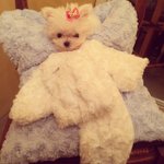 [EXO] 우리<b>아빠</b> 괴롭히지마 이것들아