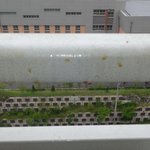 (+사진내려요)윗집에서 베란다 <b>창문</b>으로 오줌을 쌉니다. 도와주세요