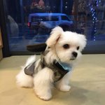 [EXO] ㄹㅇ세상에서 가장부러운게 캔디야