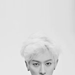 [끈기돌보프] 나의주장