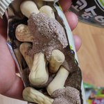 초코송이 과자에 곰팡이가..