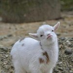[댓글부탁] <b>혜리</b> 양버전이랰ㅌㅋㅋㅋㅋ