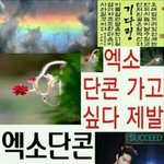 [EXO] 얘들아 단콘티켓팅 <b>부적</b>좀