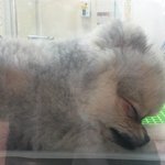 [EXO] 자는모습이 <b>종인</b>이 같아서 가까이 가봤는데