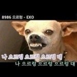 [EXO] 우리애들E 엄청난 슈스라서 힘들ㄷr