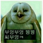 [EXO] 암표상 <b>상업</b>목적인 타퀴 머글 ㄹㅇ