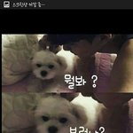 [EXO] 타오 <b>차</b> <b>옆</b>자리에 앉은 여자