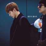 아이돌이 키우는 <b>애완</b>인형들