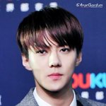 [EXO] 아놔 미쳣나 병신들 ㅅㅂㅋㅋㅋ내일은 또 안몰리겠냐?