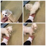 [EXO] 타오메이파이 <b>캔디</b>보면서 힐링한다ㅋㅋㅋ